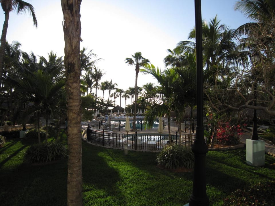 Gartenanlage um den Poolbereich Hotel Riu Plaza Miami Beach