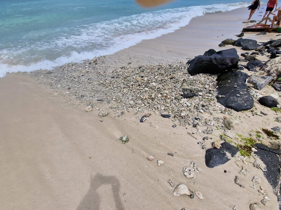 Strand Pearle Beach Resort & Spa