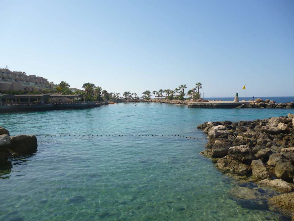Beach sea Pickalbatros Citadel Resort
