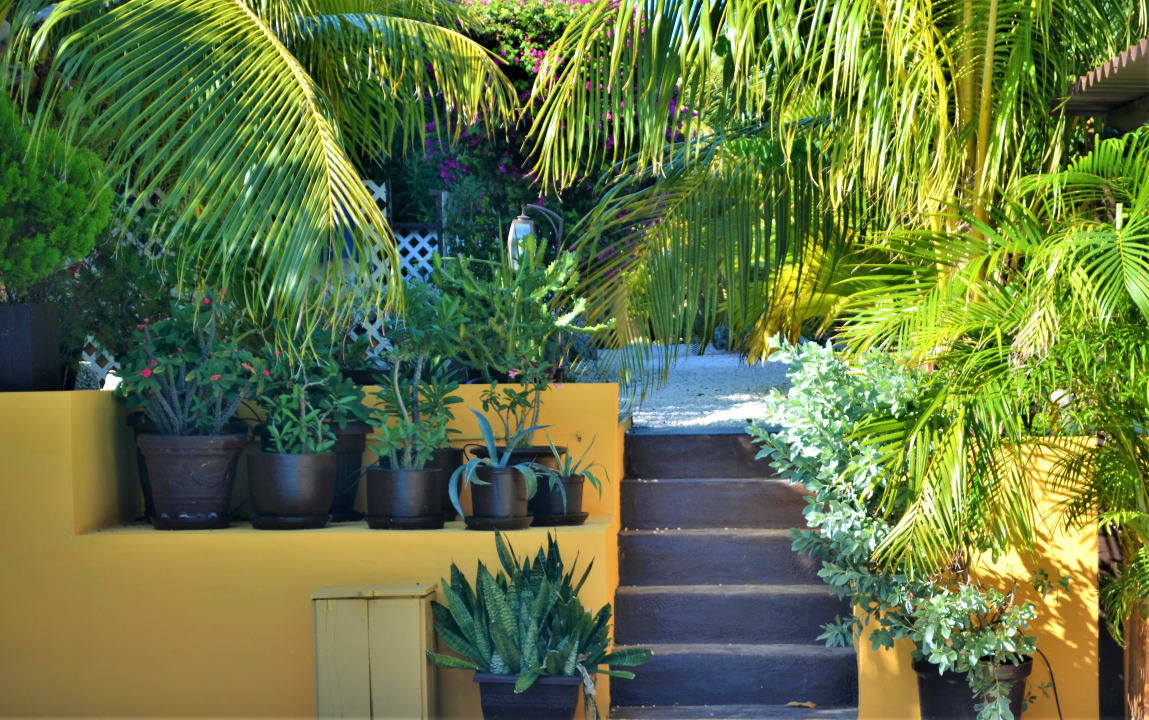 Außenansicht Jan Kok Lodges