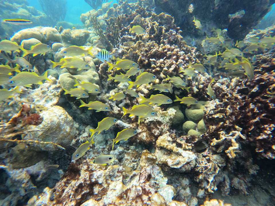 Strand Akumal Bay Beach & Wellness Resort