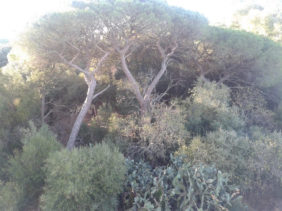 Widok z okna Hotel For You