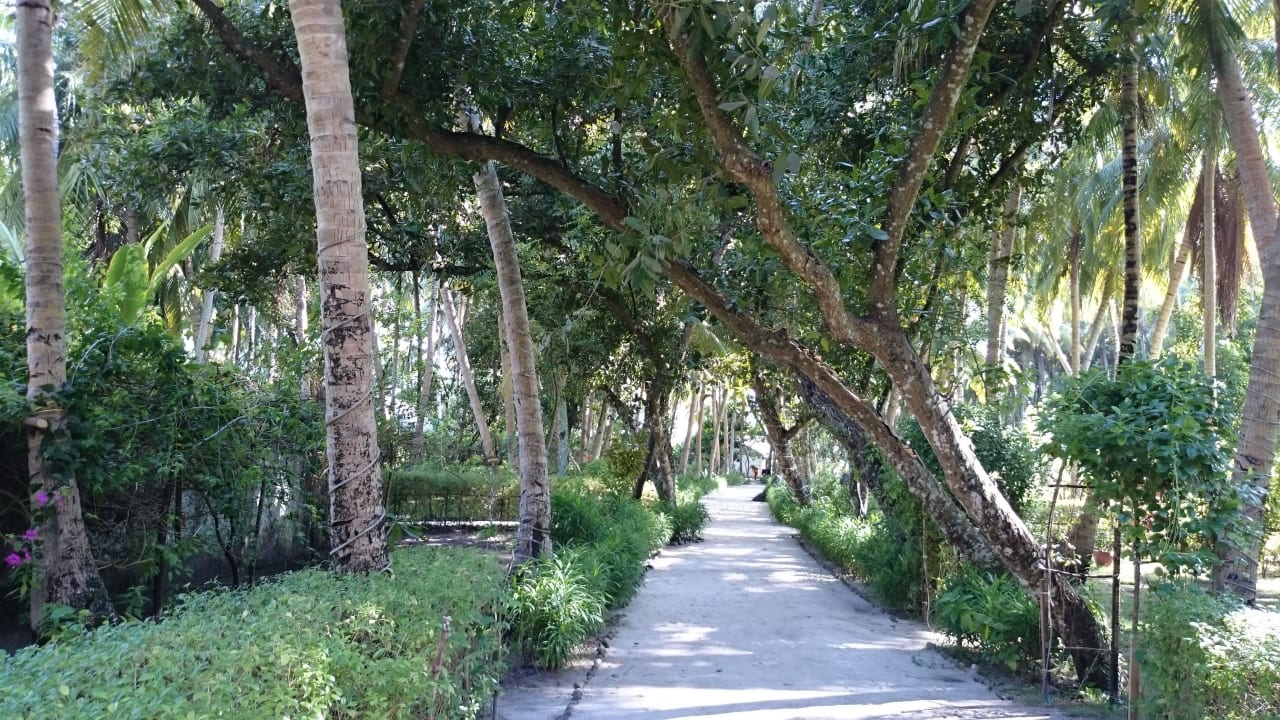 Wege im SPA Filitheyo Island Resort