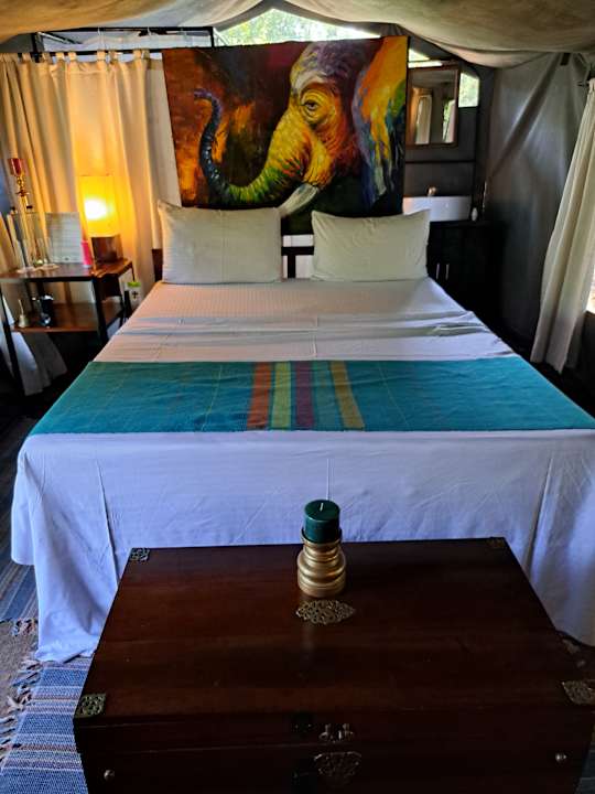 Zimmer Mahoora Tented Safari Camp - Yala