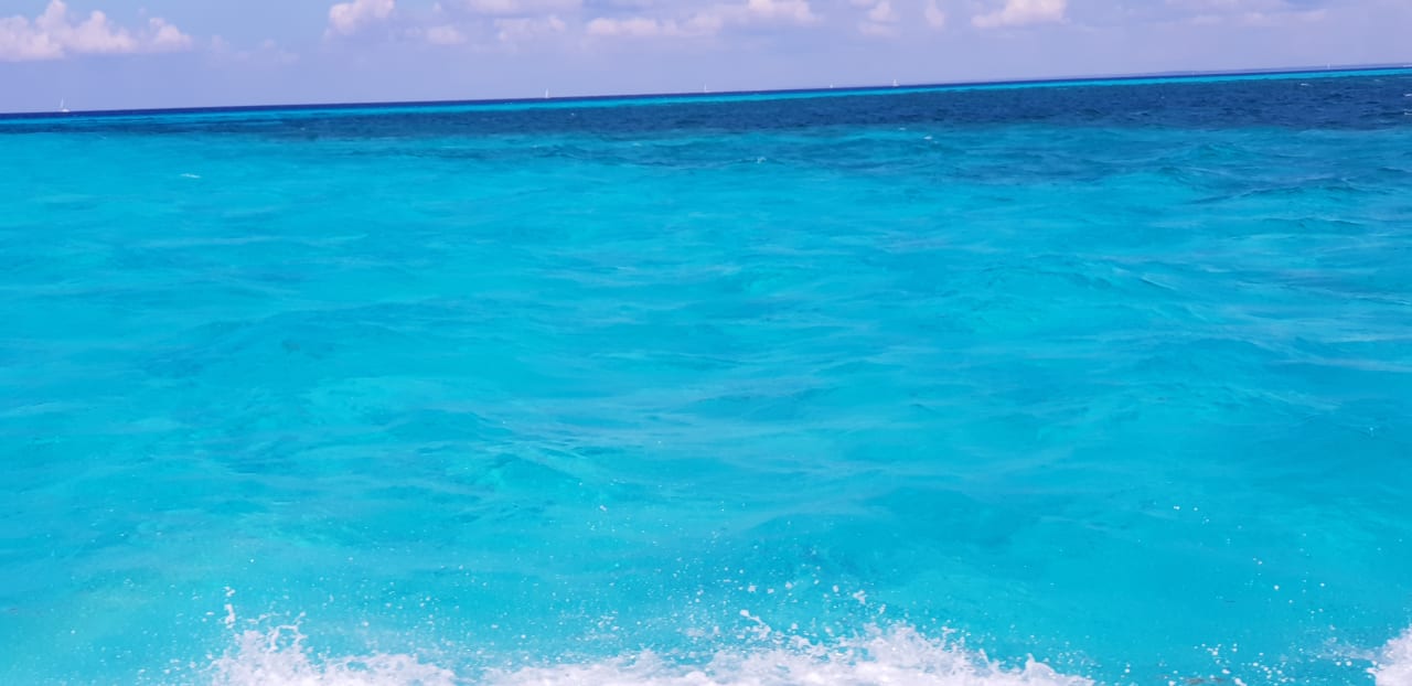 Strand Hotel Riu Republica - Adults only