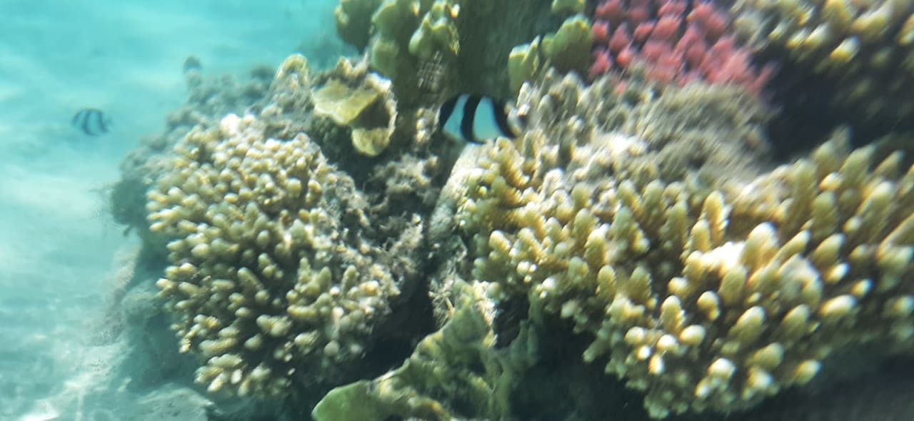 Sport & Freizeit Shams Prestige Abu Soma-Adults Only