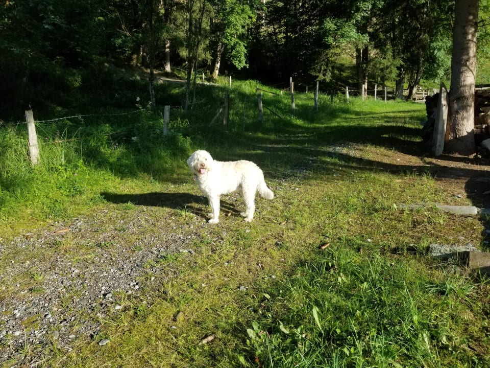 Gartenanlage Appartementhaus Johannahof