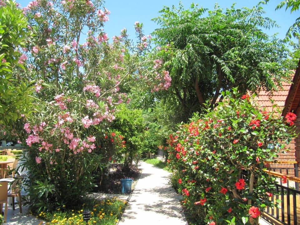 Der Weg vor den Bungalows Can Garden Beach