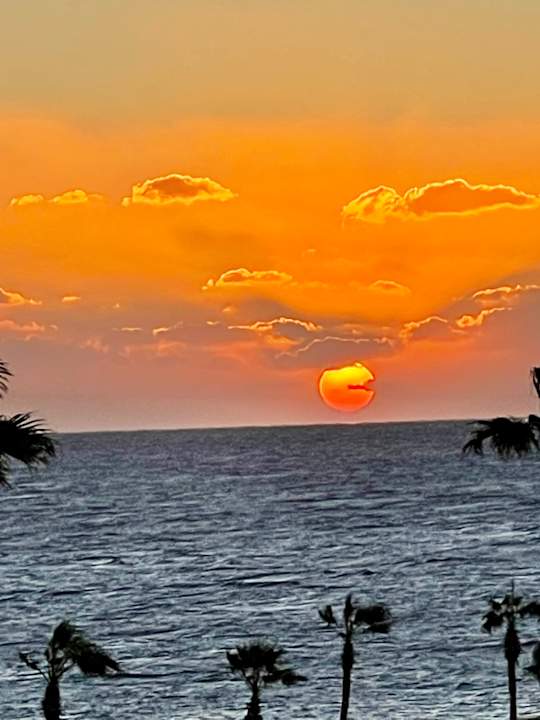 Ausblick Pickalbatros Citadel Resort