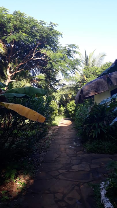 Gartenanlage Spice Island Hotel & Resort