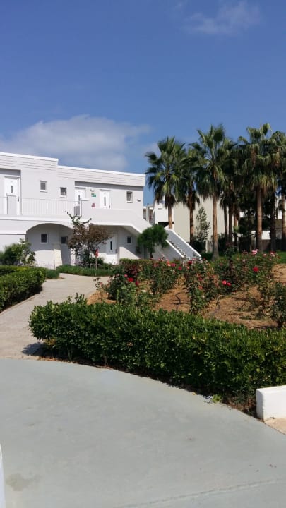 Gartenanlage Delfina Tropic Beach