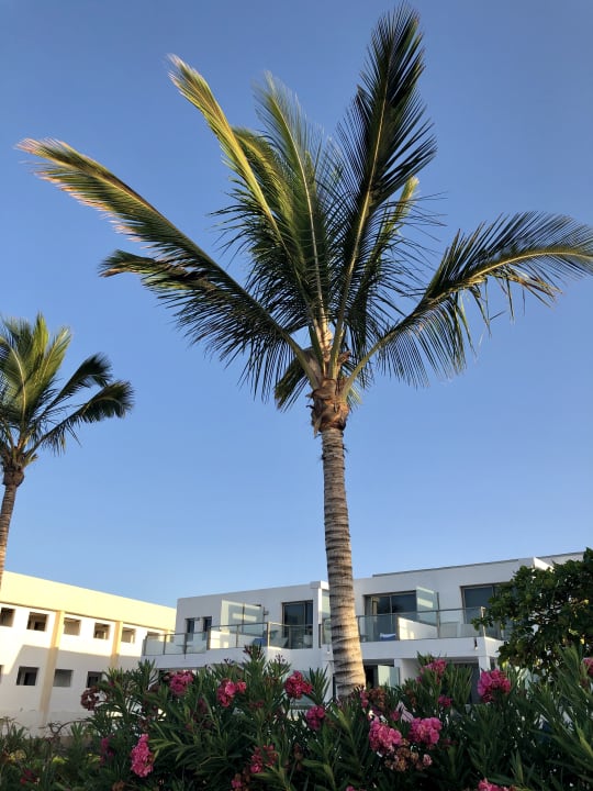 Sonstiges R2 Bahía Playa Design Hotel & Spa - Adults Only