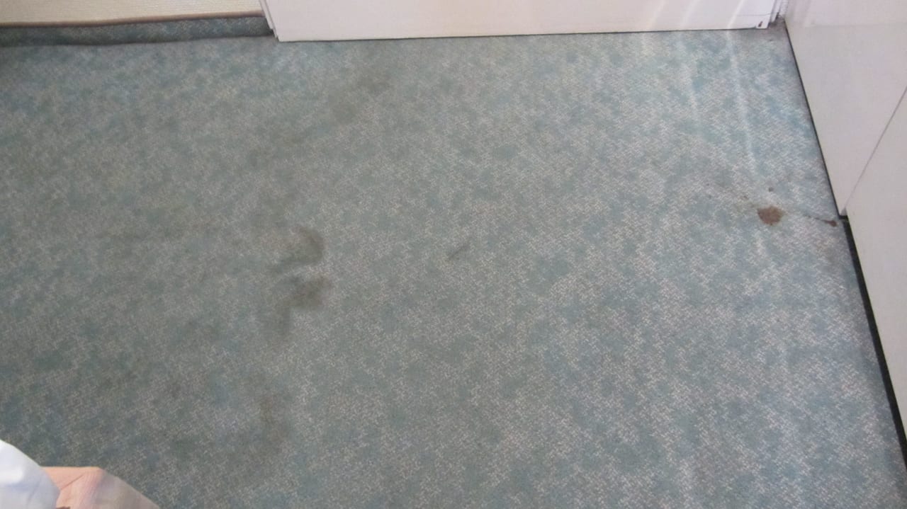 Teppich acom Hotel Berlin Kurfürstendamm