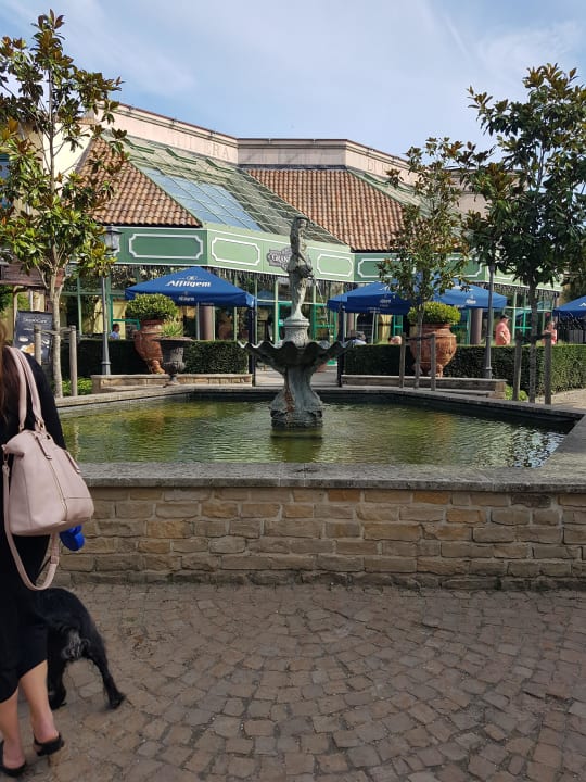 Brunnen Market Dome Center Parcs De Eemhof