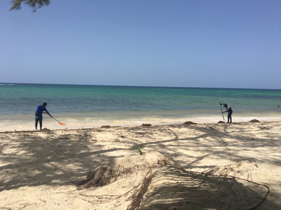 Strand Vista Sol Punta Cana