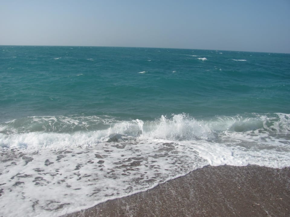 Der Strand Asteria Collection Side