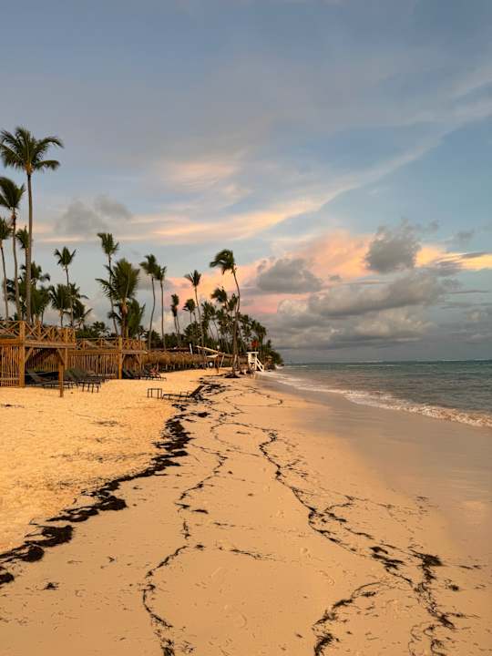 Strand Dreams Flora Resort & Spa - All Inclusive