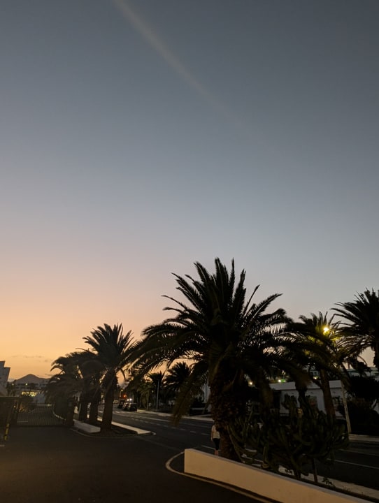 Ausblick allsun App.-Hotel Albatros