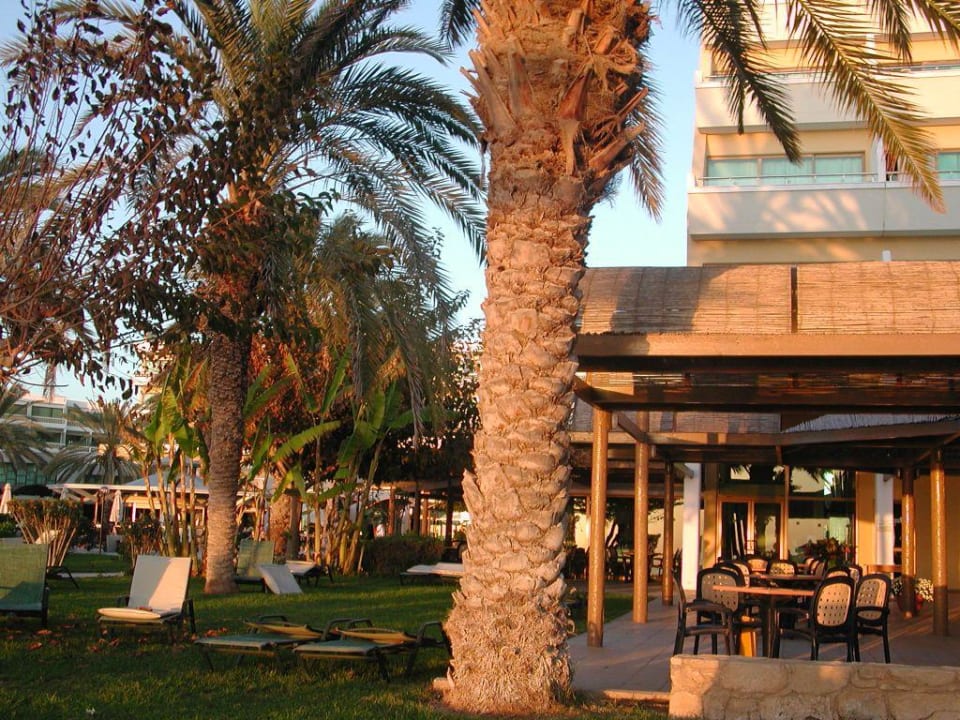 Hotelanlage Garten TUI BLUE Pioneer Beach