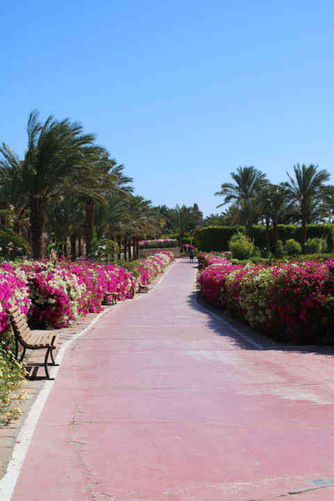 Gartenanlage Fort Arabesque Resort, Spa & Villas