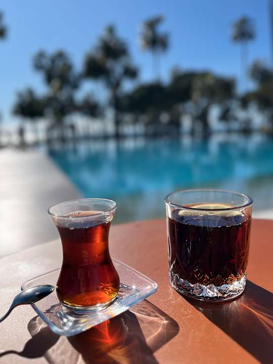 Gastro Acanthus Cennet Barut Collection