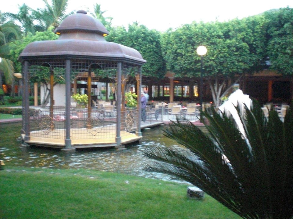 Der kleine Teich Iberostar Waves Punta Cana