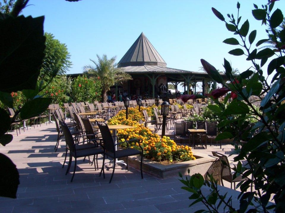 Poolbar Papillon Belvil