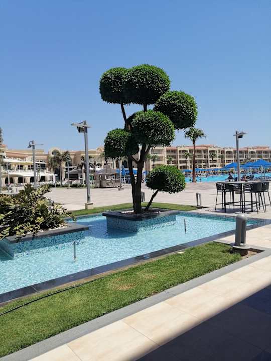 Pool Pickalbatros White Beach Resort - Hurghada