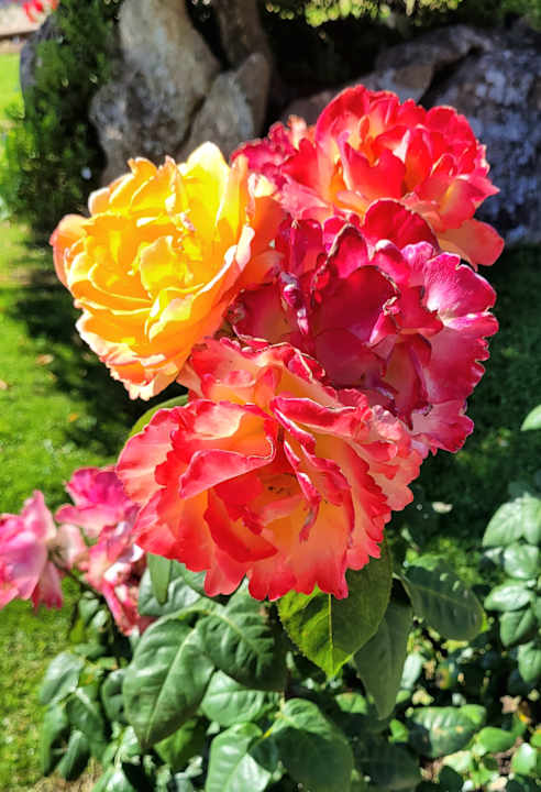 Gartenanlage Hotel L'Esagono