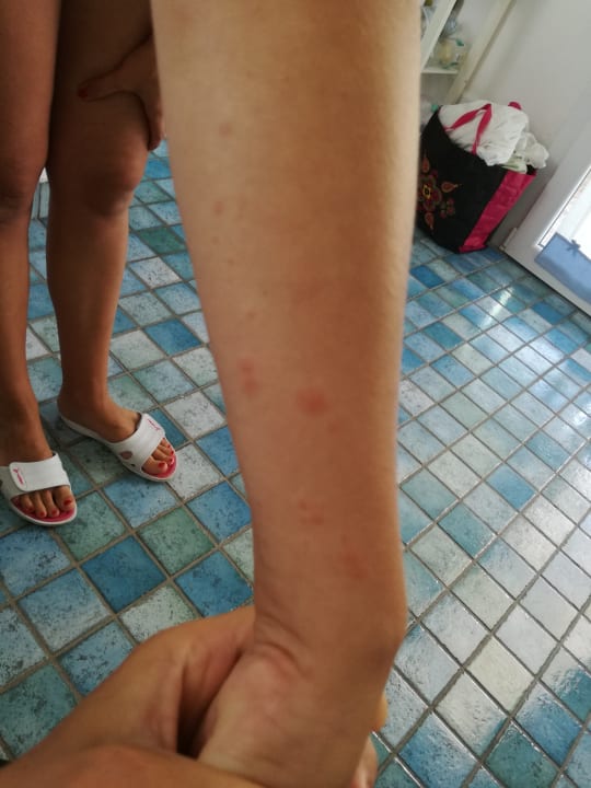 Zimmer Rosapineta Camping Village