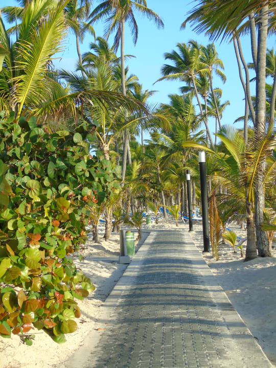 Gartenanlage Hotel Riu Palace Macao - Adults only