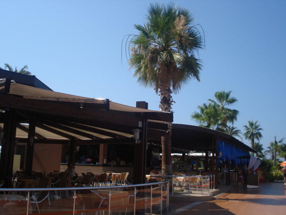 Bar de Luxe Arycanda Kirman Premium