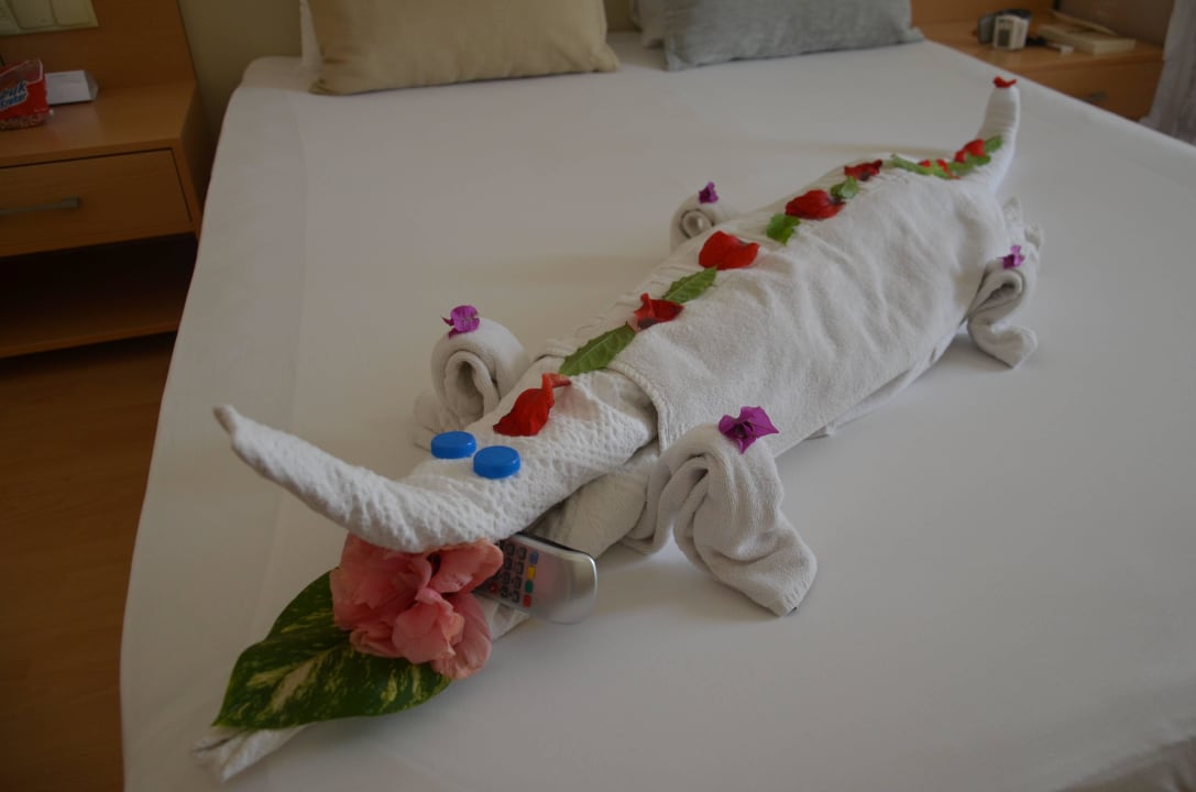 Kolejna niespodzianka Solivia Hotel