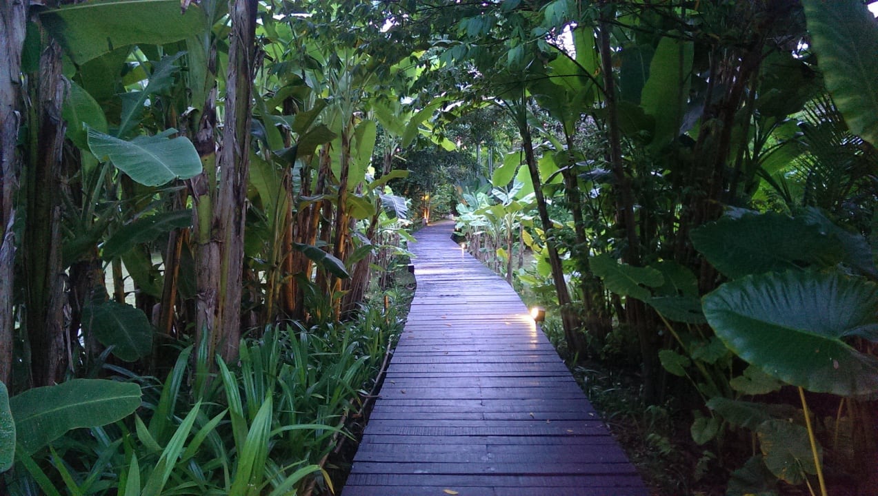 Gehweg vom Eingang Bangsak Village