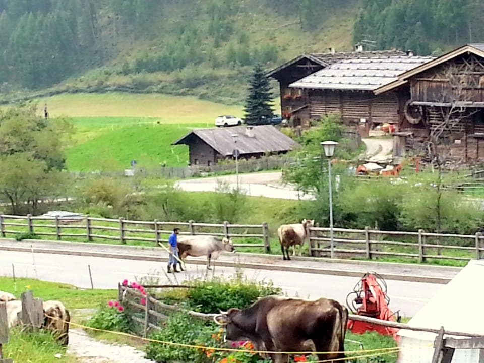 Blick von Hotel auf Straße Hotel Rainhof