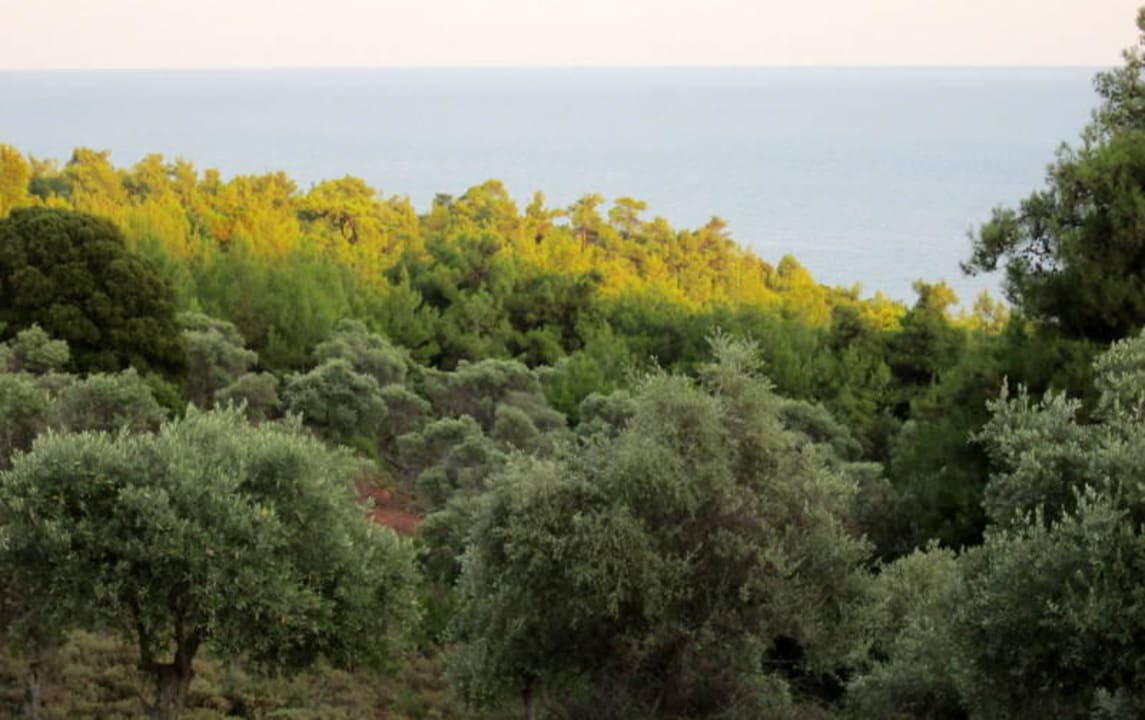 Okolice hotelu Hotel Astris Sun