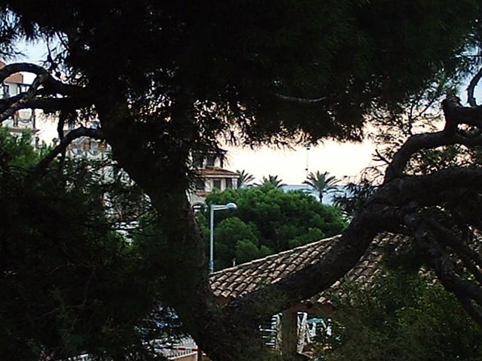 Blick vom Balkon Aparthotel Houm Plaza Son Rigo