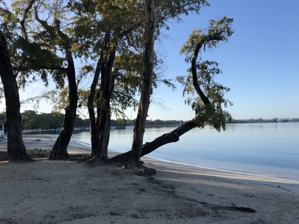 Strand Hotel Riu Negril