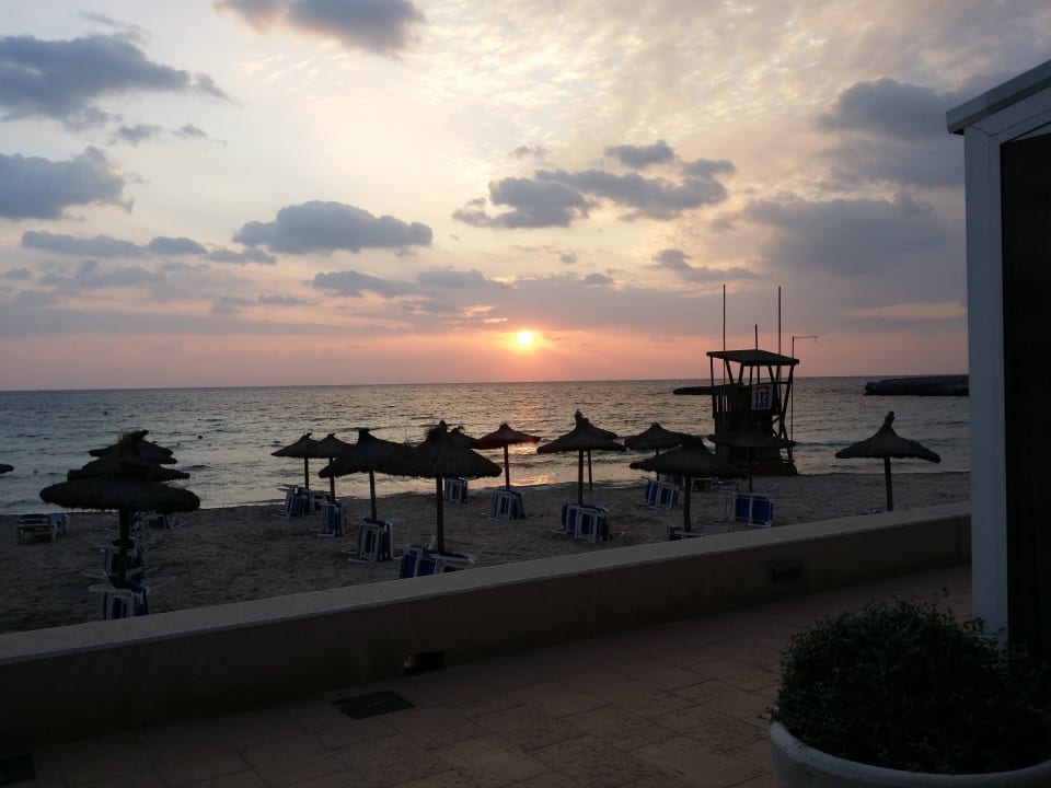 Das Hotel so nah am Meer  Hotel Club S'Illot