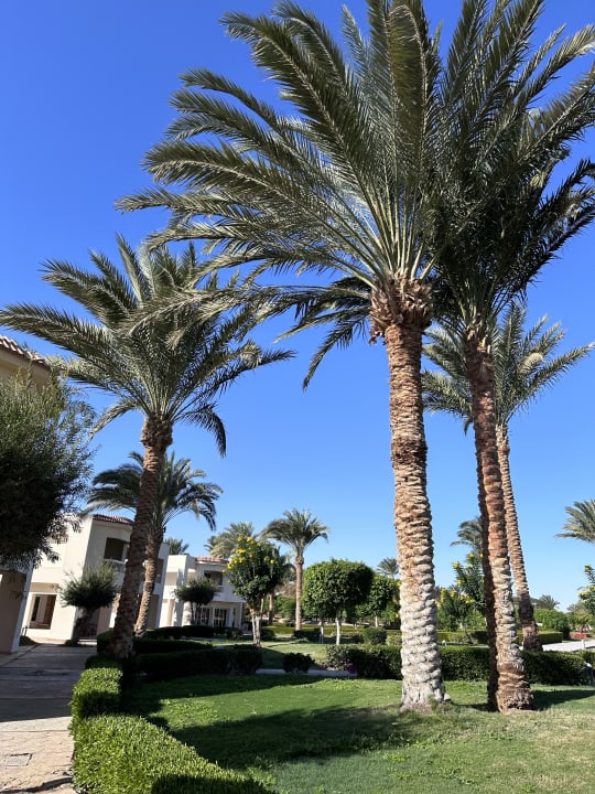 Außenansicht Hurghada Long Beach Resort