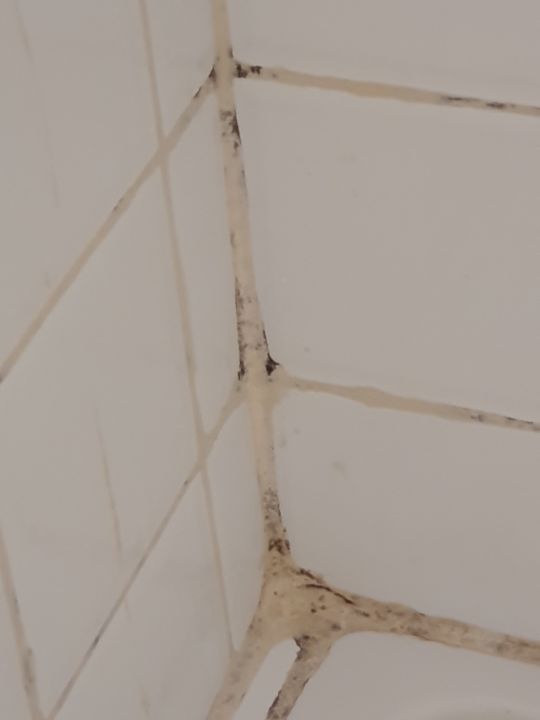 Zimmer Sunny Days Palma De Mirette Resort & Spa