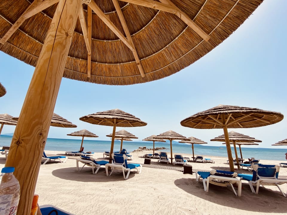 Strand ROBINSON DAIDALOS