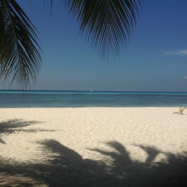Strand vor unsere JBV 159 Kuredu Island Resort & Spa