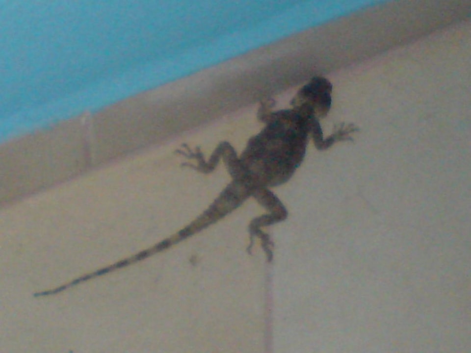 In room Miarosa Kemer Beach