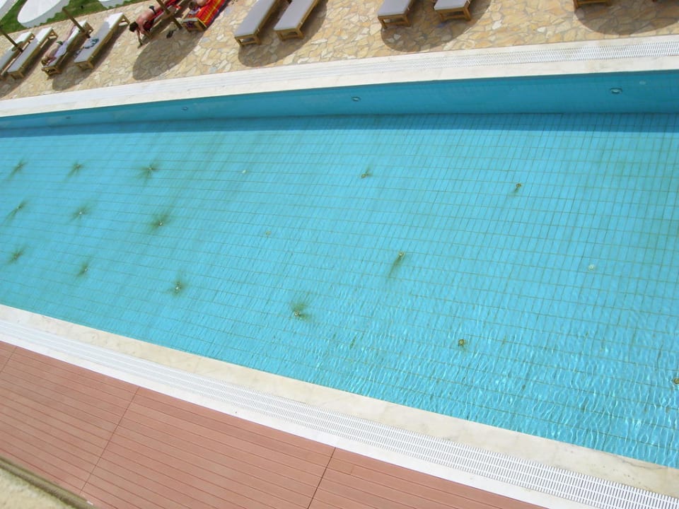 Pool-Landschaft Mitsis Selection Blue Domes