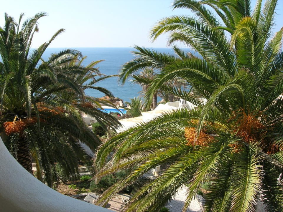 Blick vom Balkon Algar Seco Parque