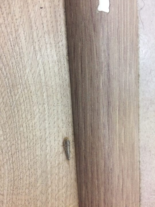 Zimmer allsun Hotel Lucana