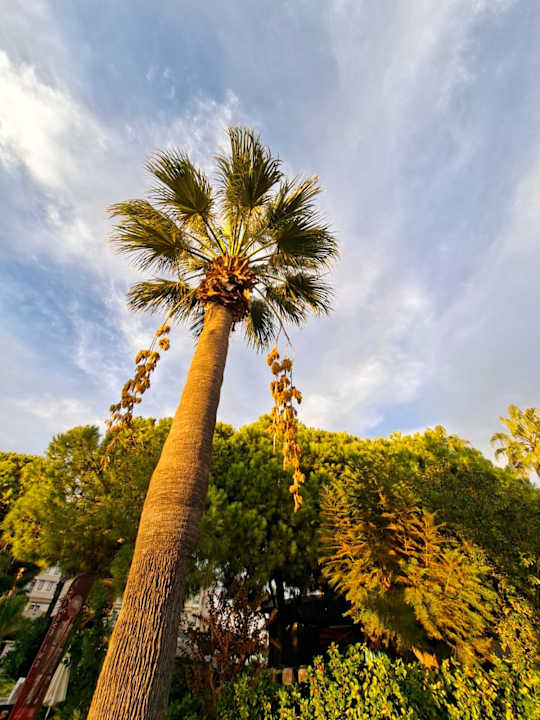 Ausblick Bella Resort & Spa