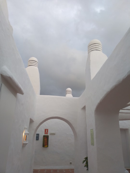 Zimmer Dreams Jardín Tropical