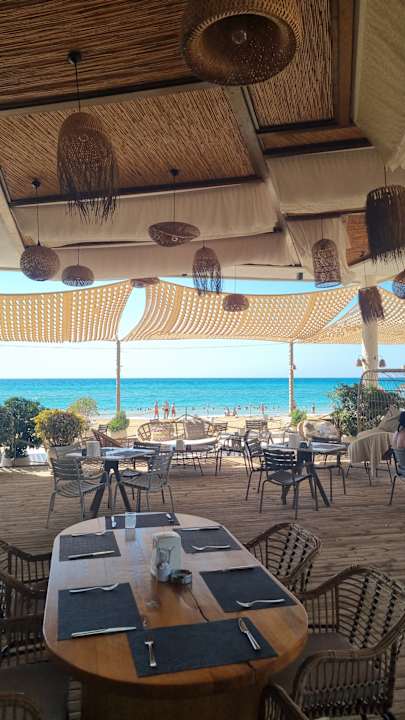 Strand Seashell Vega